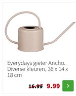 Everydays gieter Ancho (div kleuren) @Intratuin